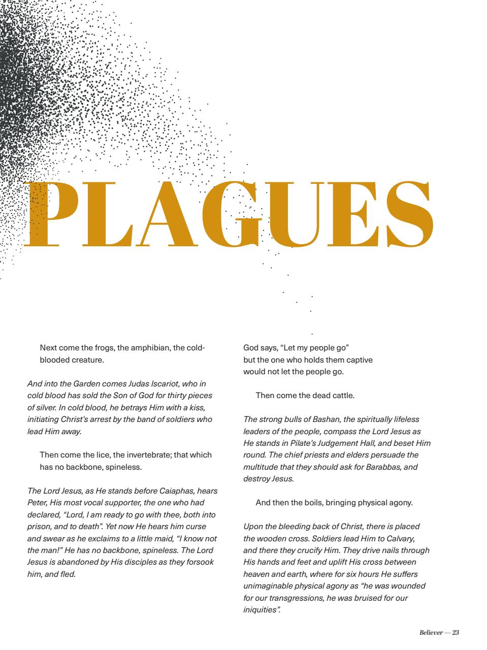 Believer Magazine Preview Pages