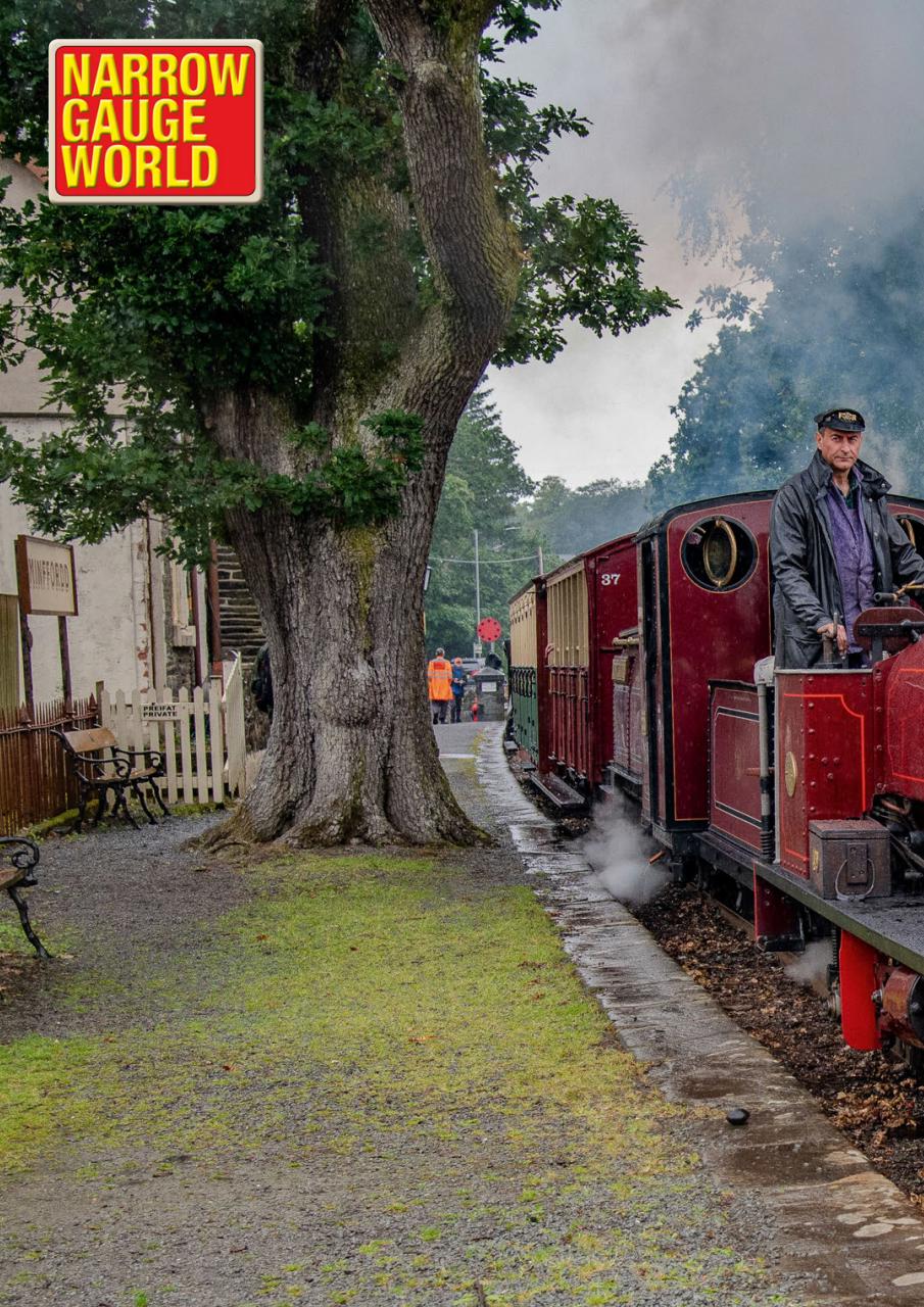 Narrow Gauge World Preview Pages