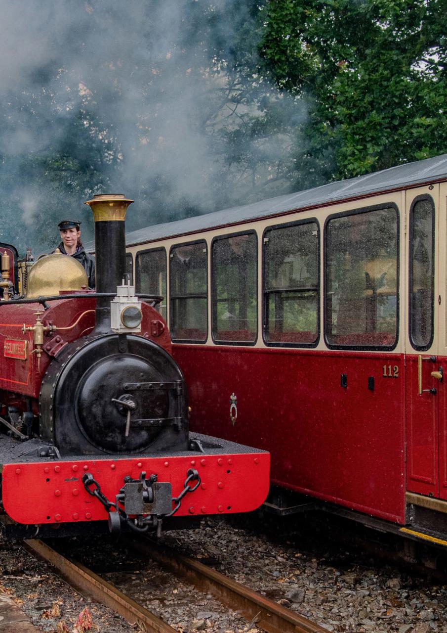 Narrow Gauge World Preview Pages