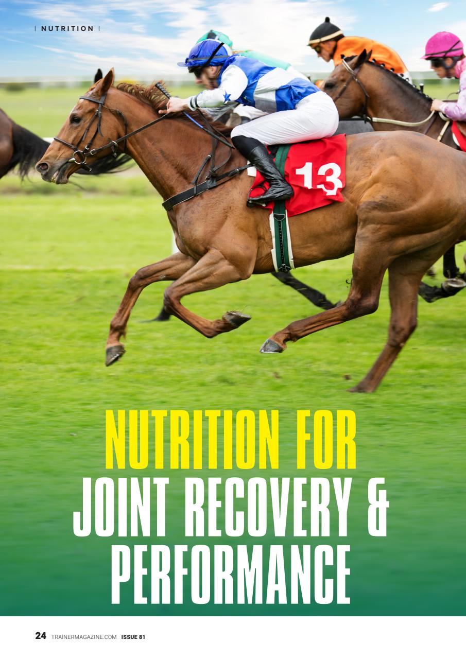 North American Trainer Magazine - horse racing Preview Pages