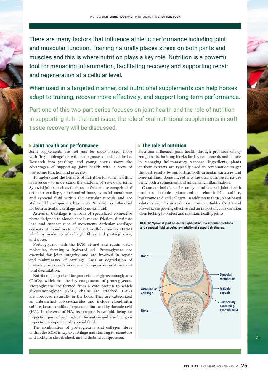 North American Trainer Magazine - horse racing Preview Pages
