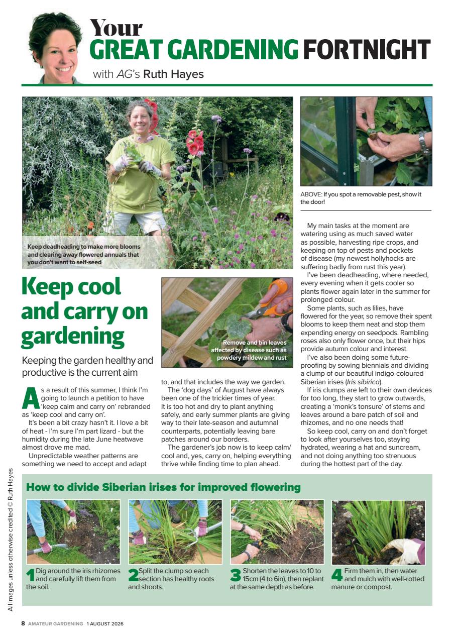 Amateur Gardening Preview Pages