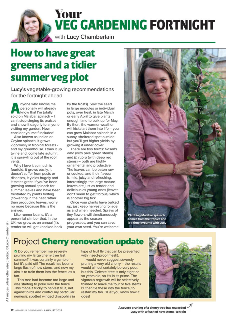 Amateur Gardening Preview Pages