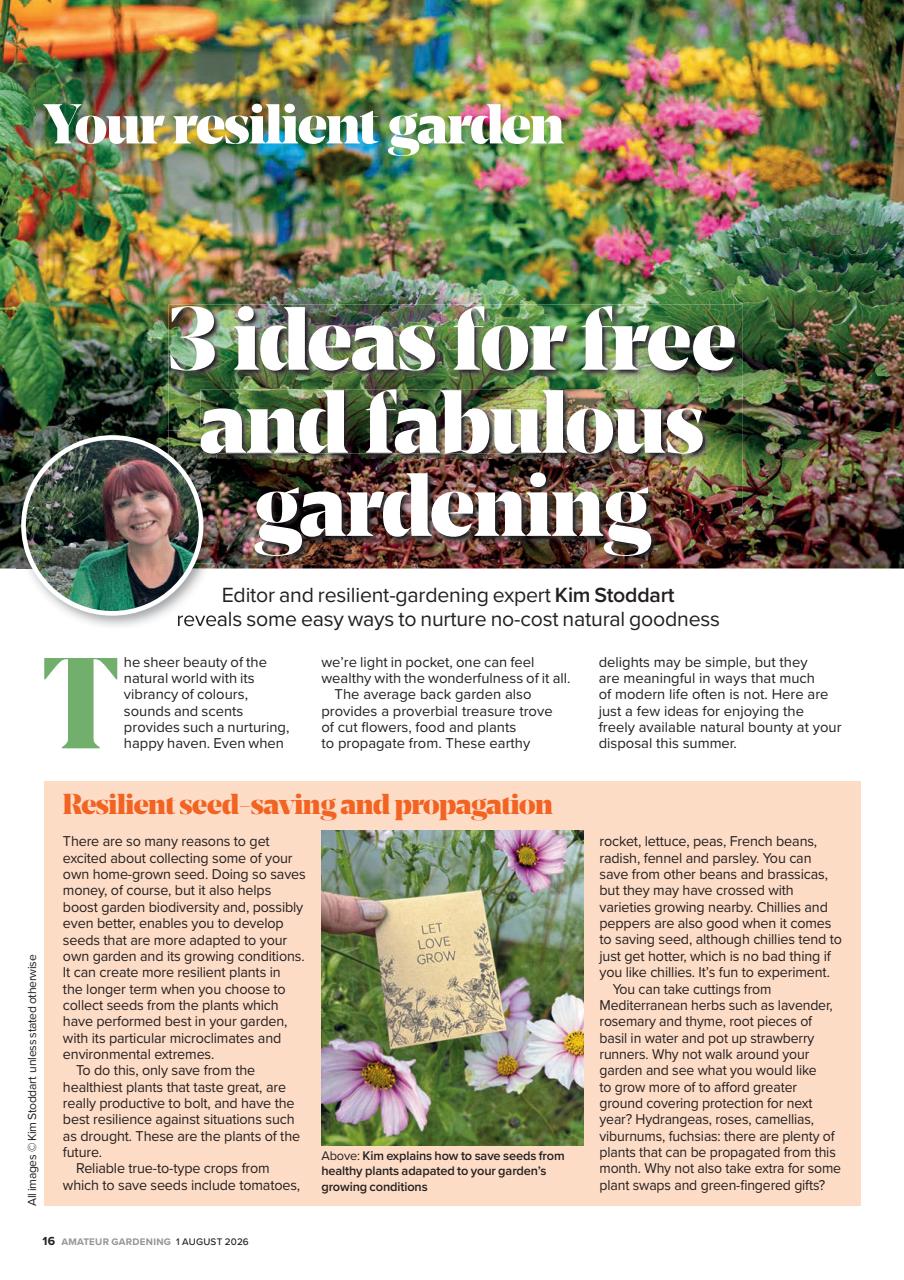 Amateur Gardening Preview Pages