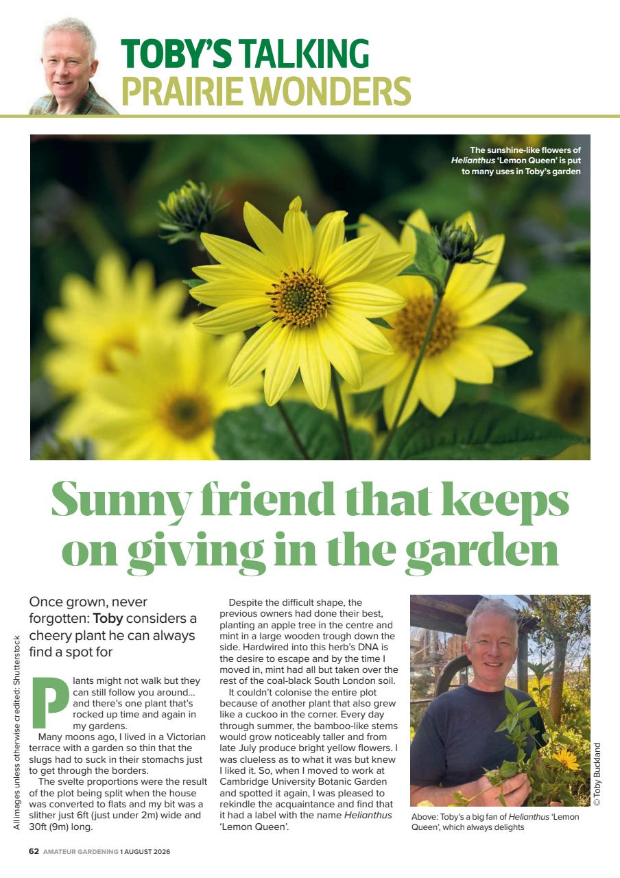 Amateur Gardening Preview Pages