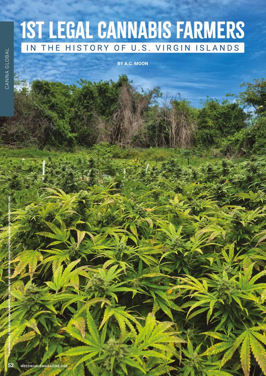 Weed World Preview Pages