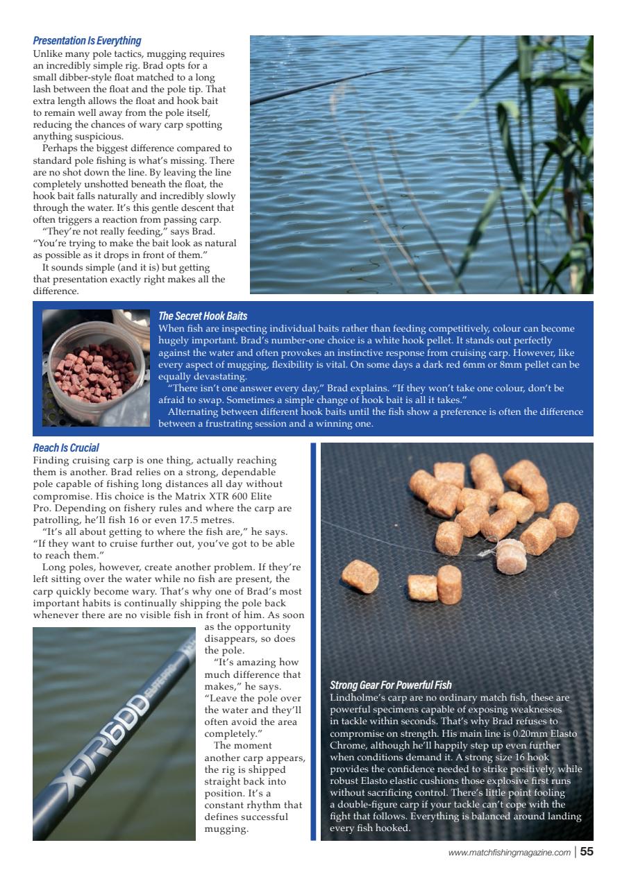 Match Fishing Preview Pages