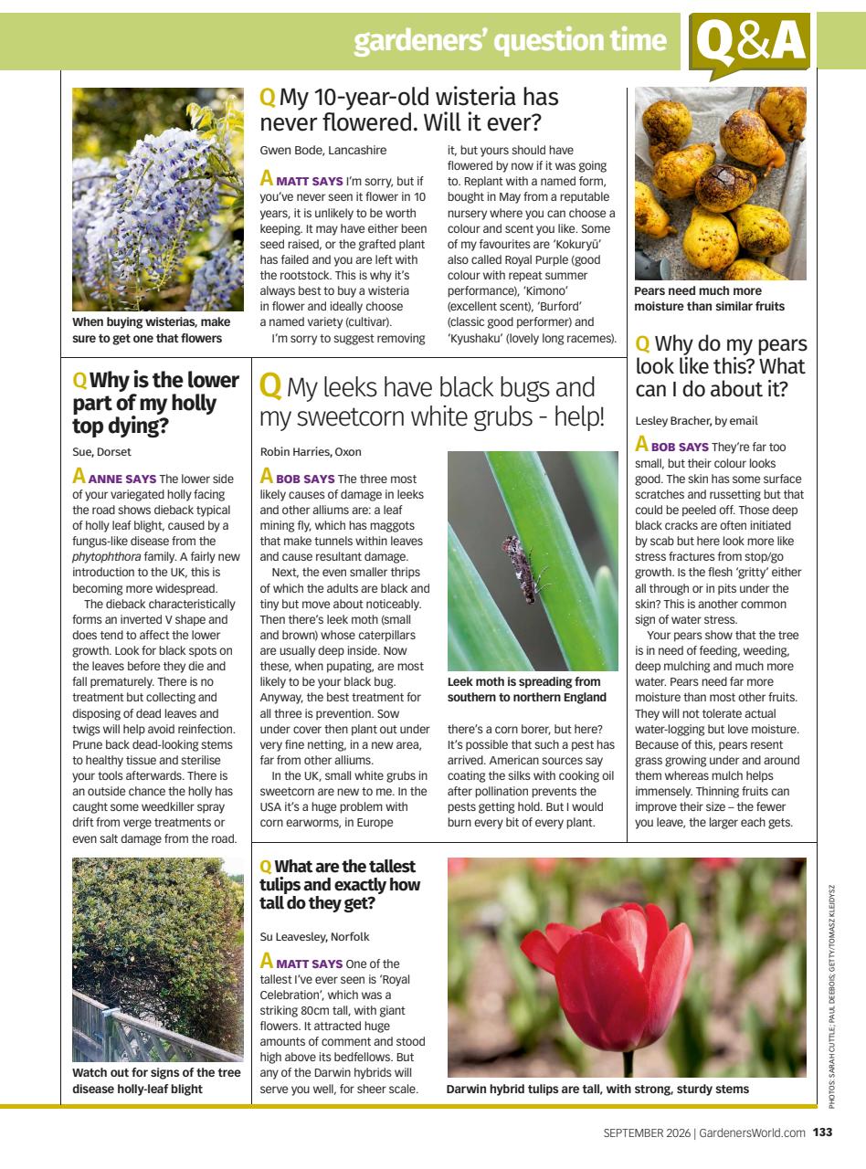 BBC Gardeners’ World Magazine Preview Pages