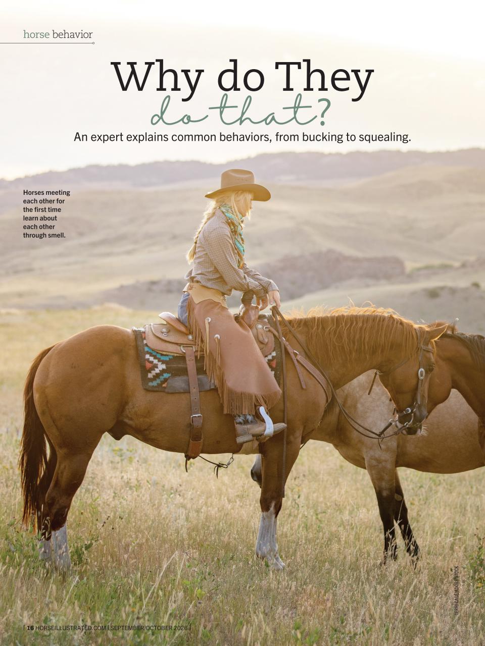 Horse Illustrated Magazine Preview Pages