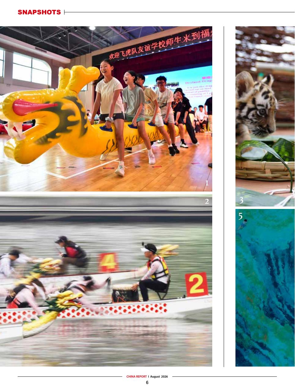 China Report Preview Pages