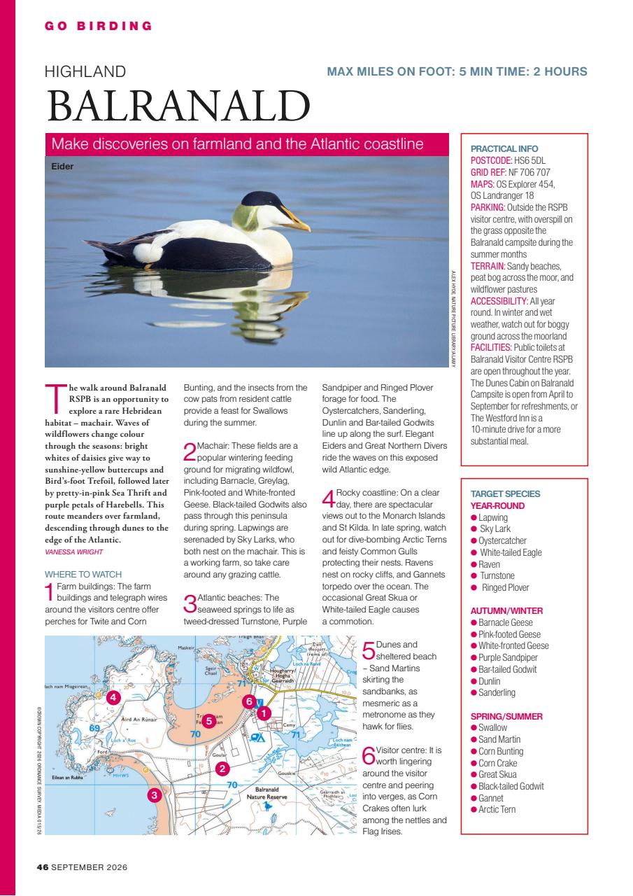 Bird Watching Preview Pages