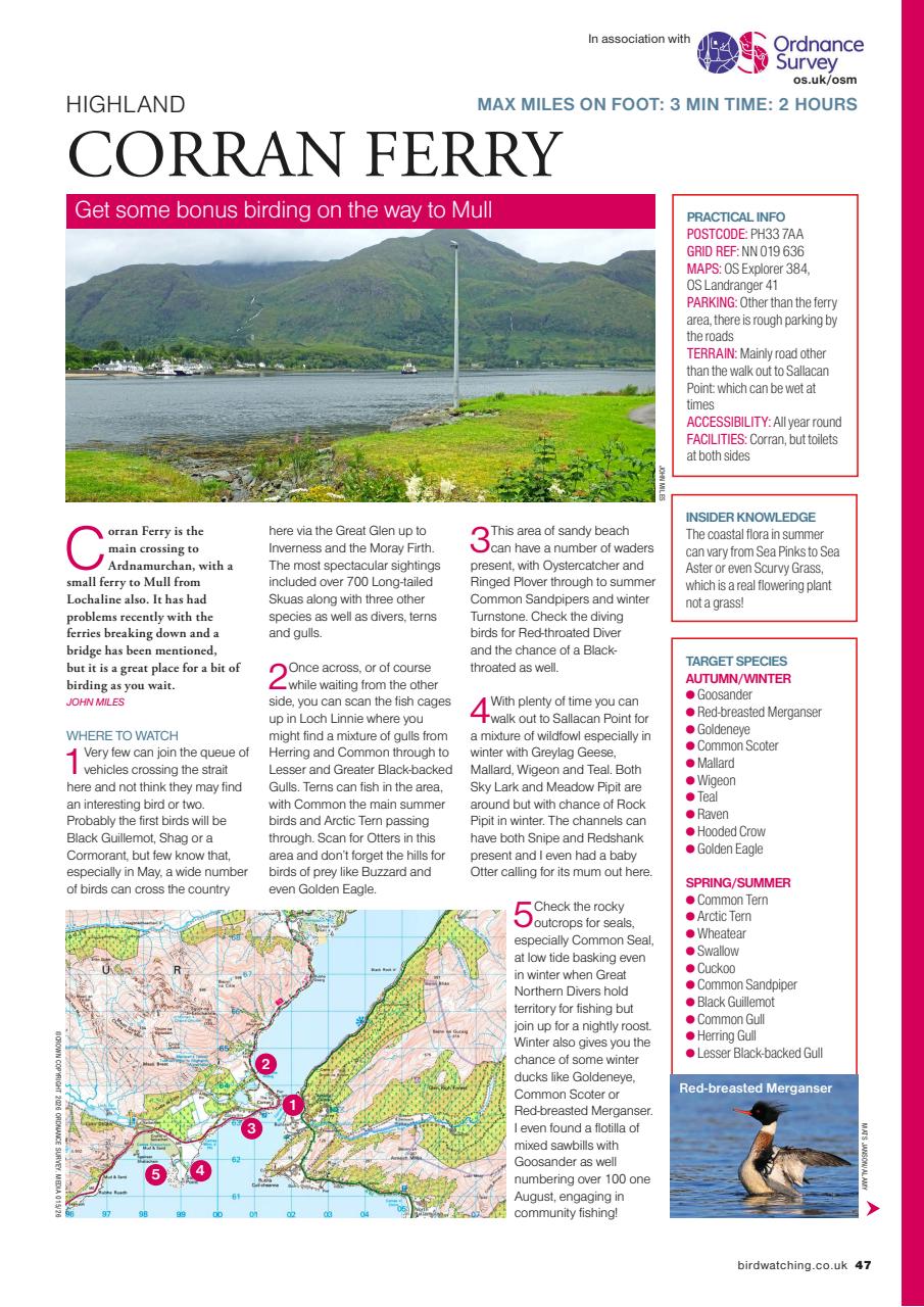Bird Watching Preview Pages