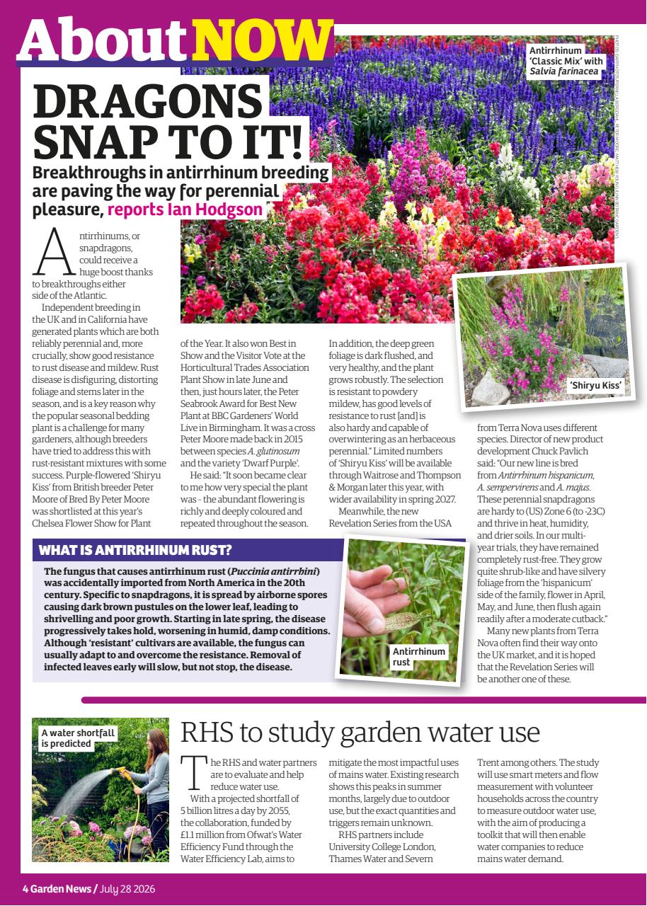 Garden News Preview Pages