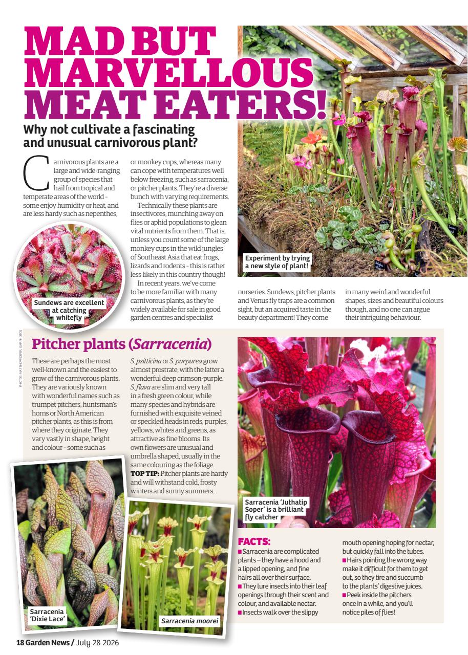 Garden News Preview Pages