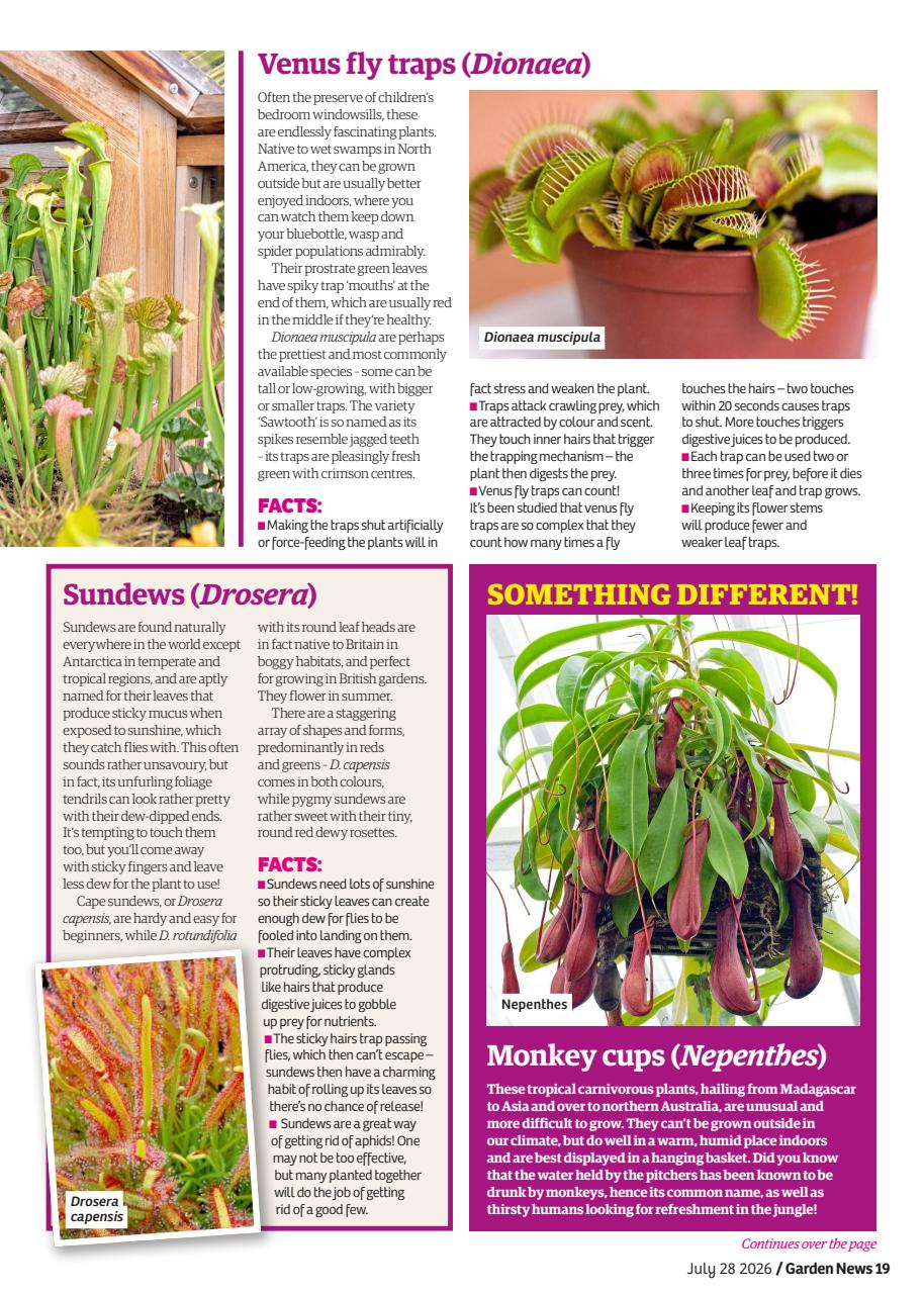 Garden News Preview Pages