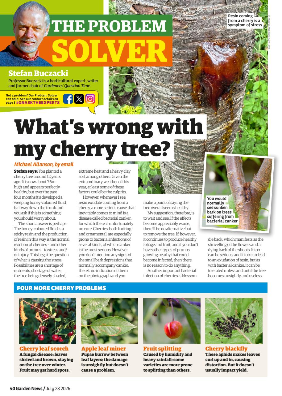 Garden News Preview Pages