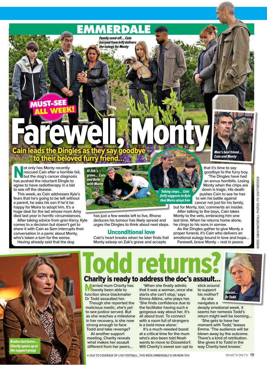 What's on TV Preview Pages