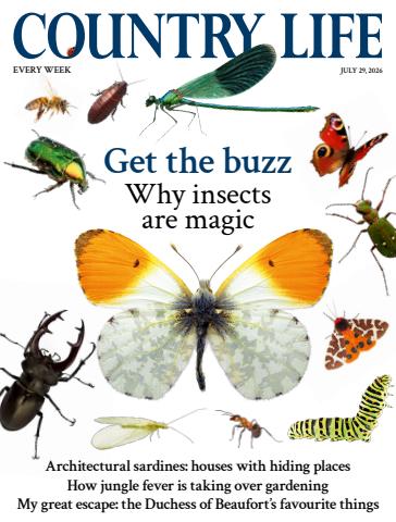 Country Life issue 29th July 2026