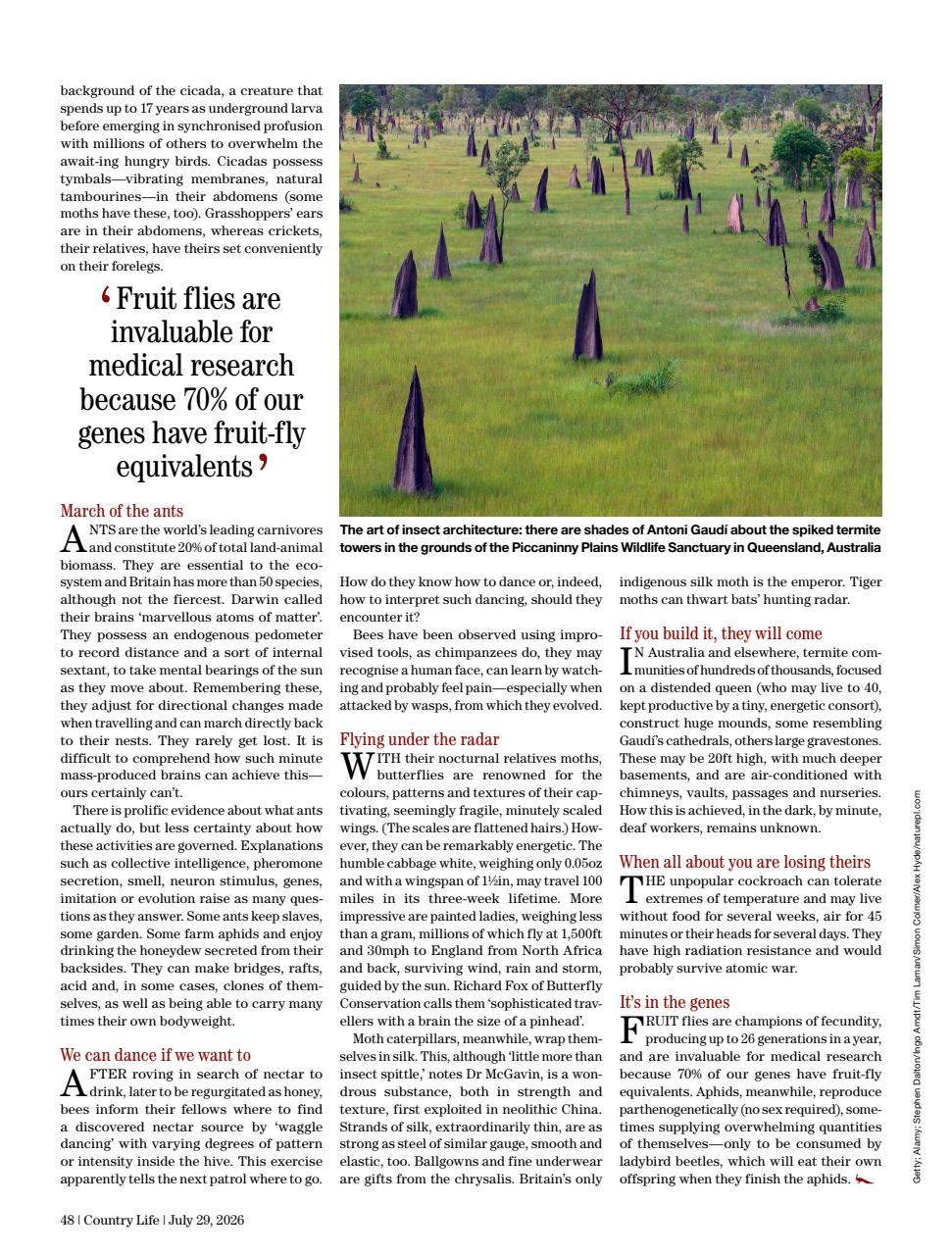 Country Life Preview Pages