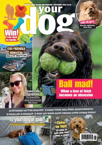 Your Dog issue Ball Mad! Your Dog - September 2026