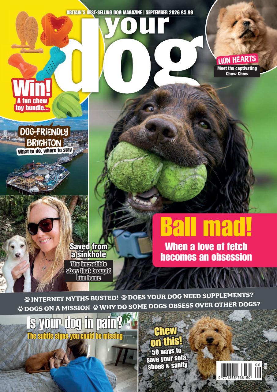 Your Dog Preview Pages