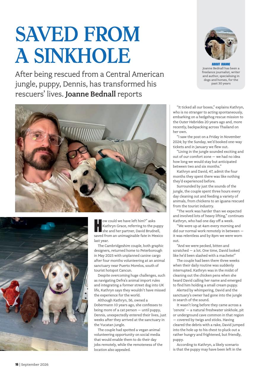 Your Dog Preview Pages