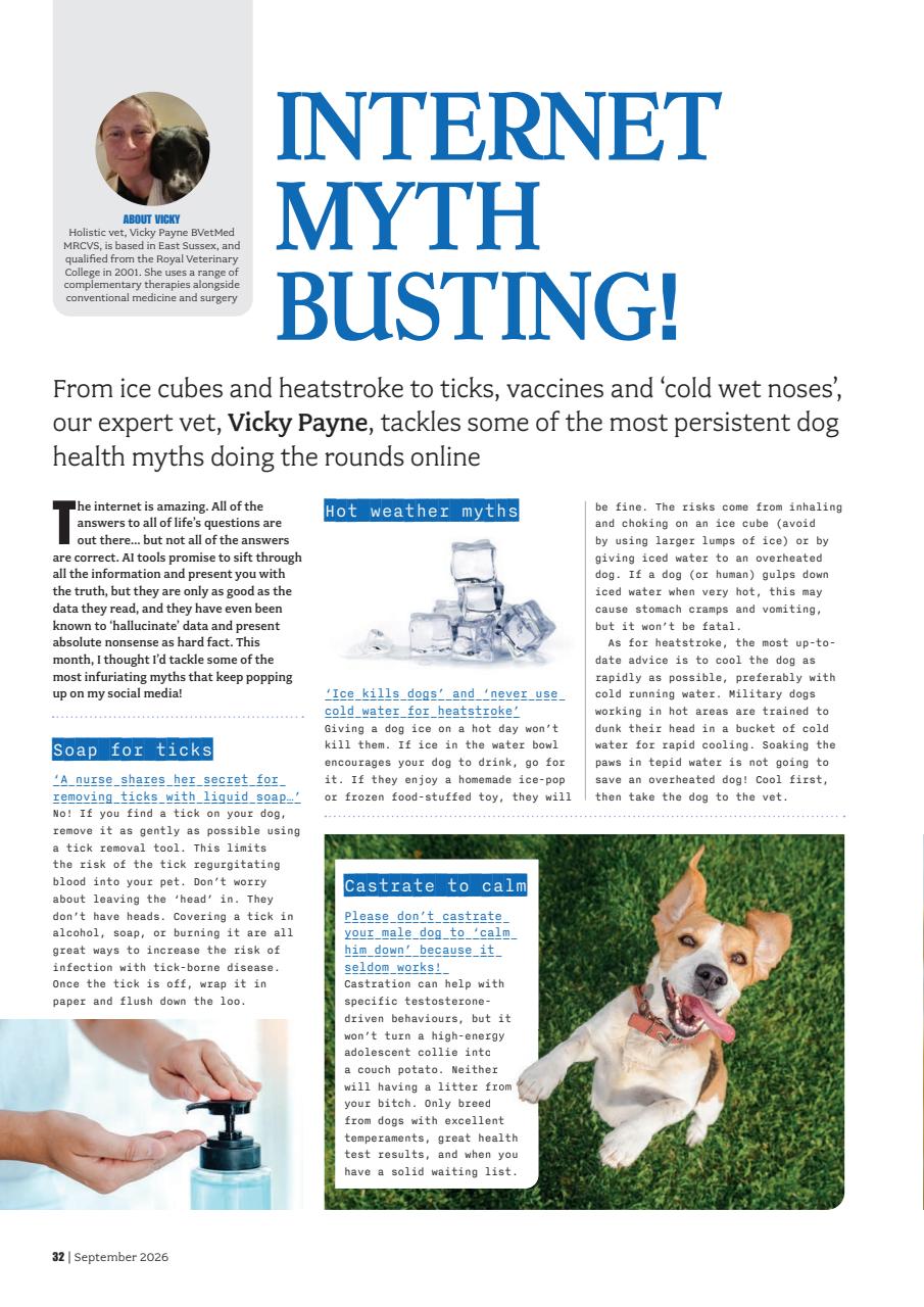 Your Dog Preview Pages