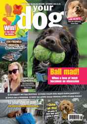 Your Dog Complete Your Collection Cover 1