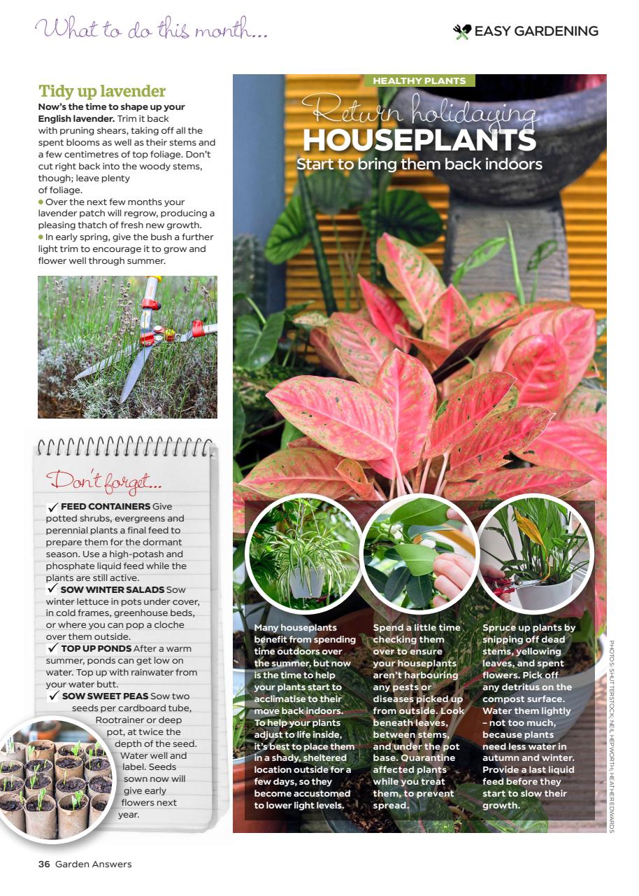 Garden Answers Preview Pages
