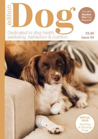 Edition Dog issue Edition Dog 94