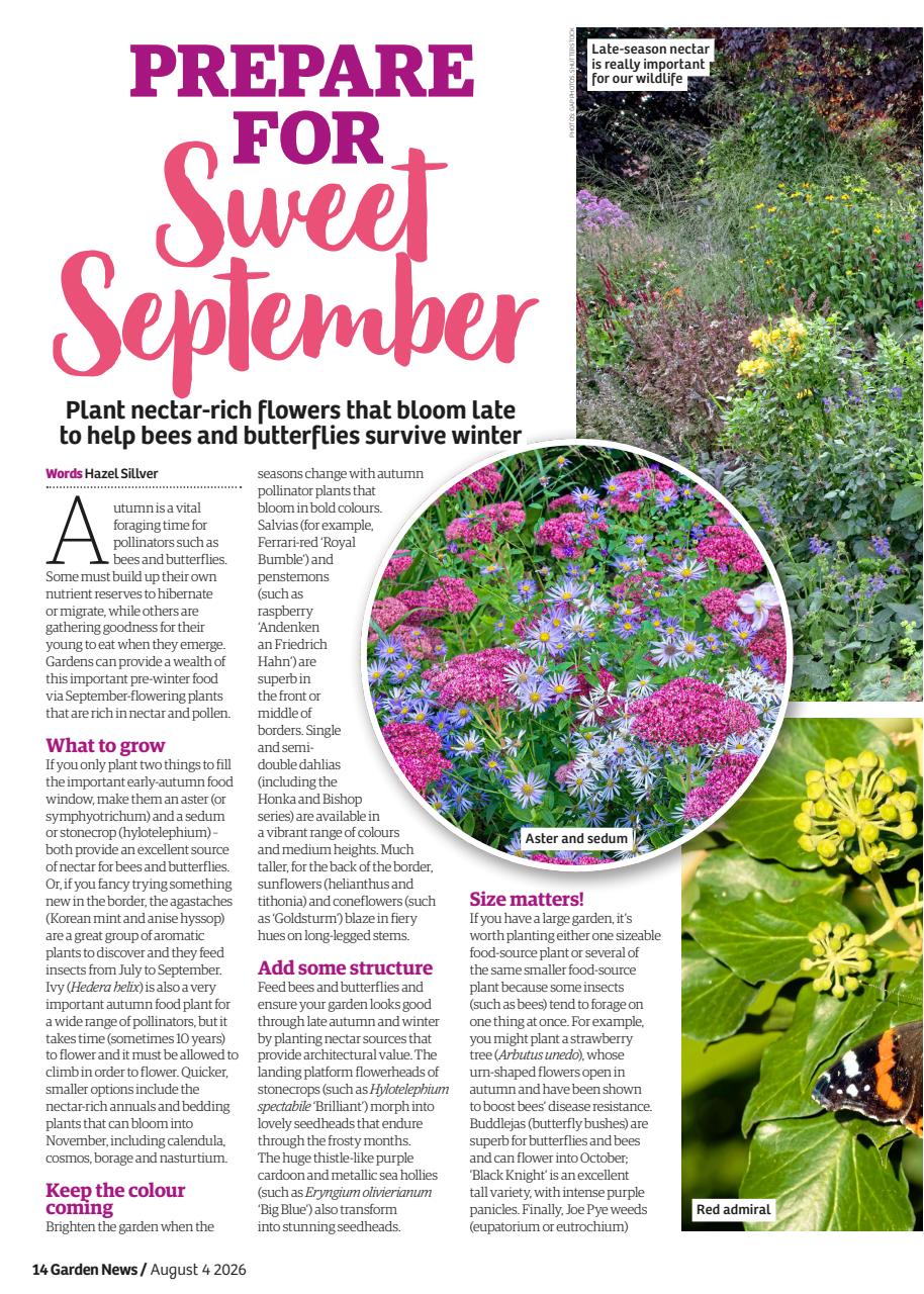 Garden News Preview Pages