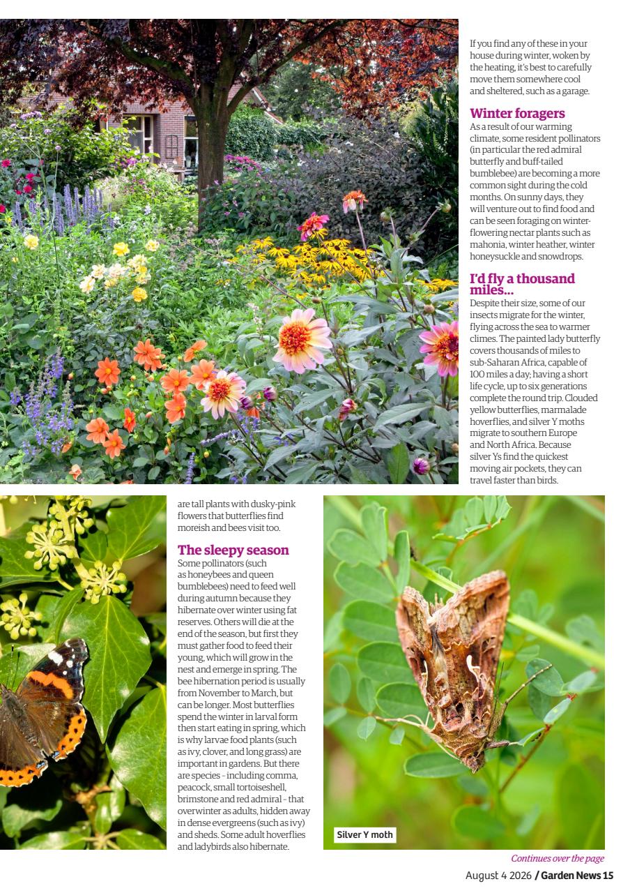 Garden News Preview Pages