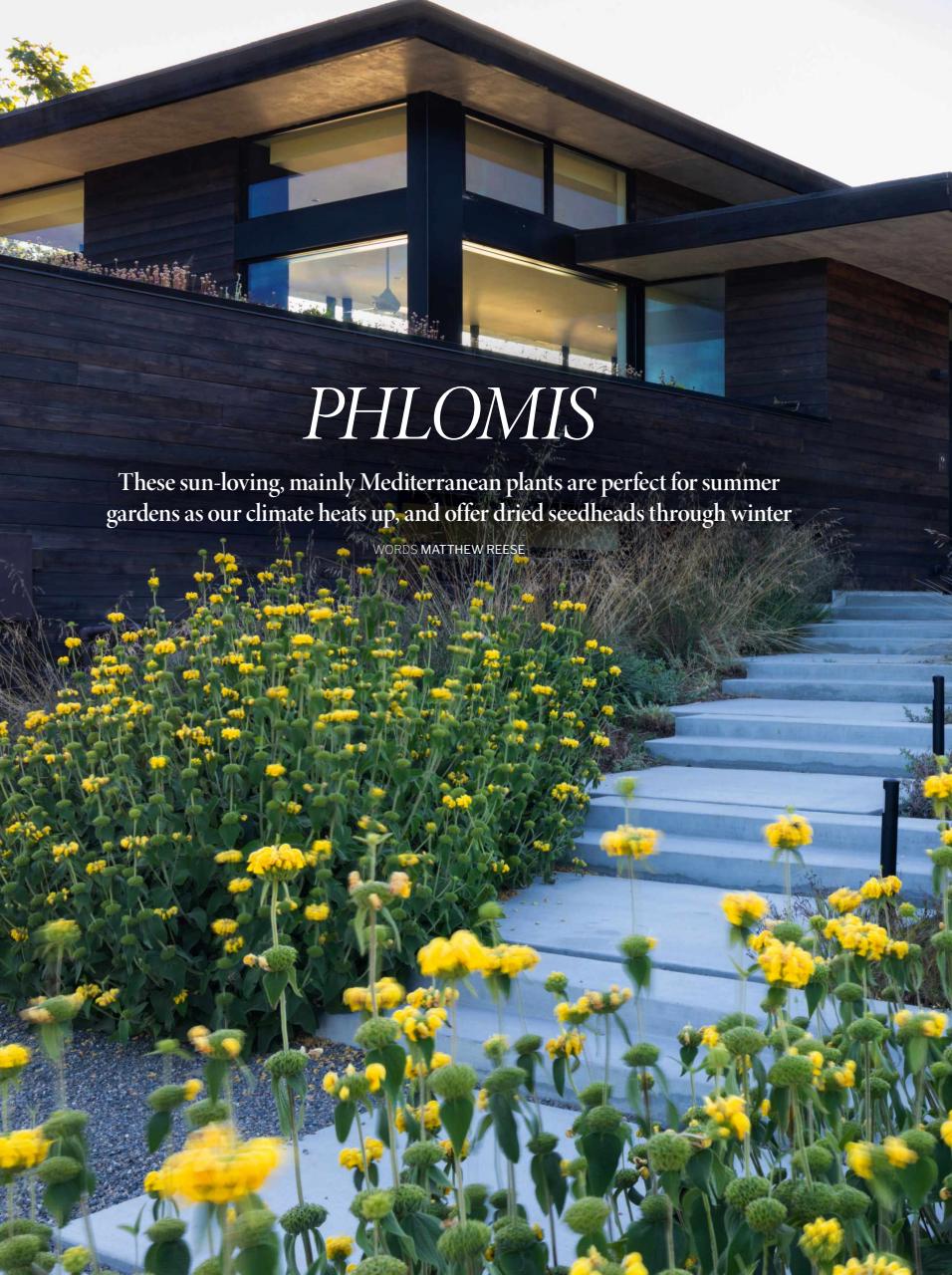 Gardens Illustrated Preview Pages