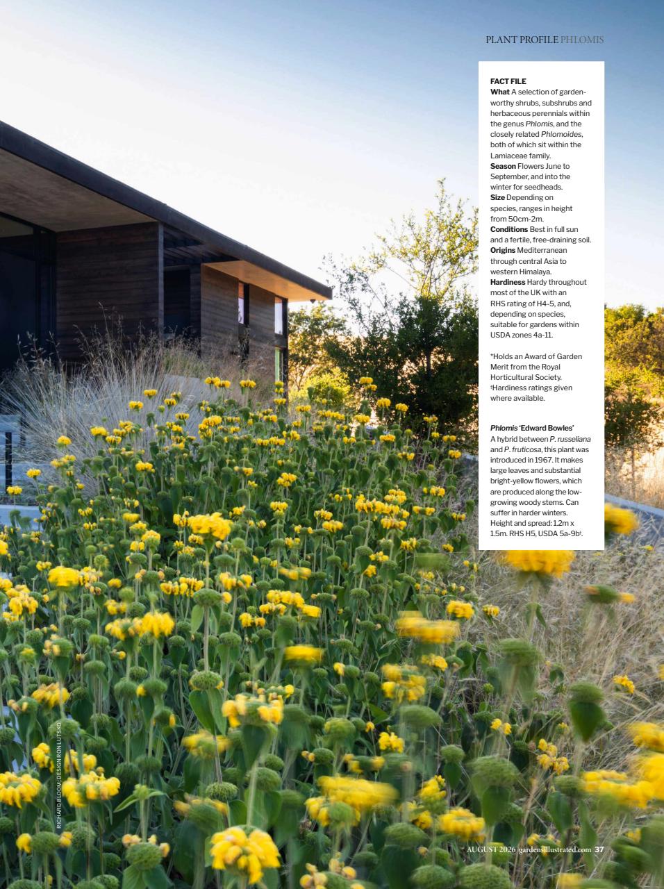 Gardens Illustrated Preview Pages