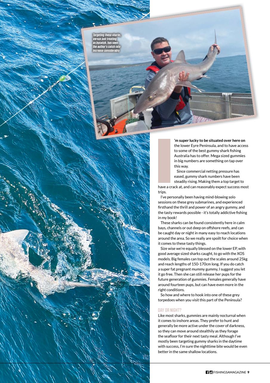 Fishing SA Preview Pages