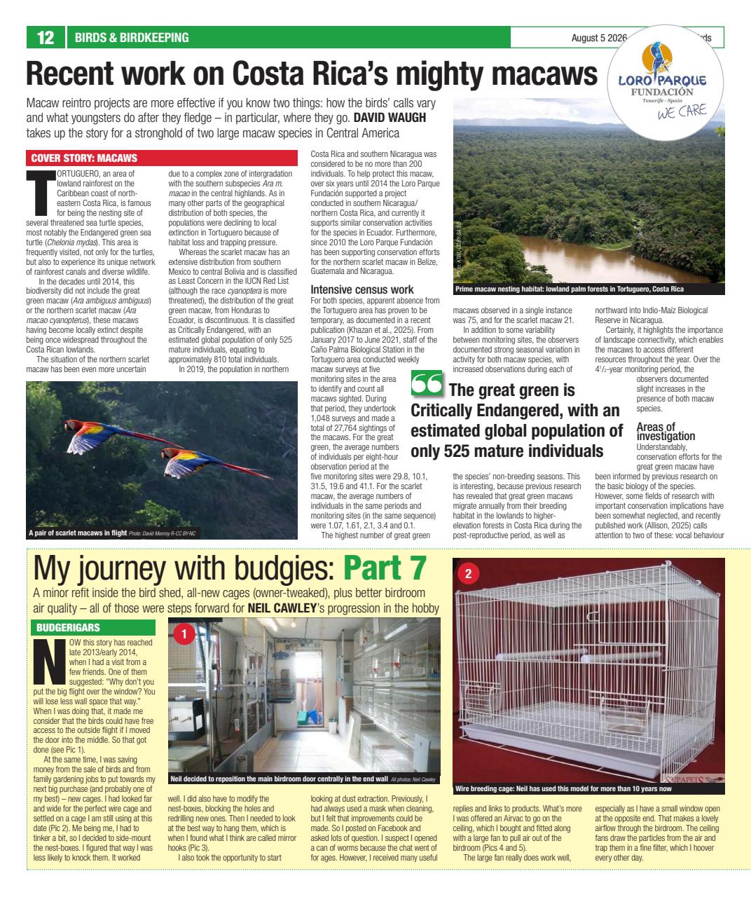 Cage & Aviary Birds Preview Pages