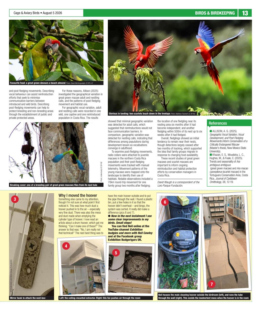 Cage & Aviary Birds Preview Pages