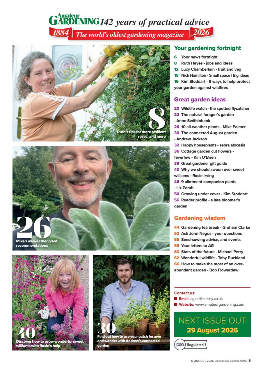 Amateur Gardening Preview Pages
