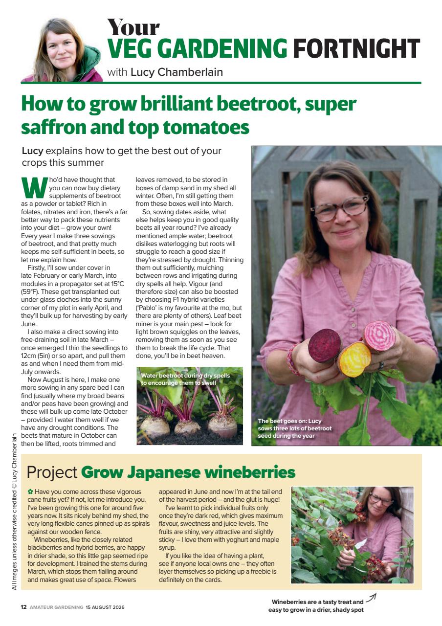 Amateur Gardening Preview Pages