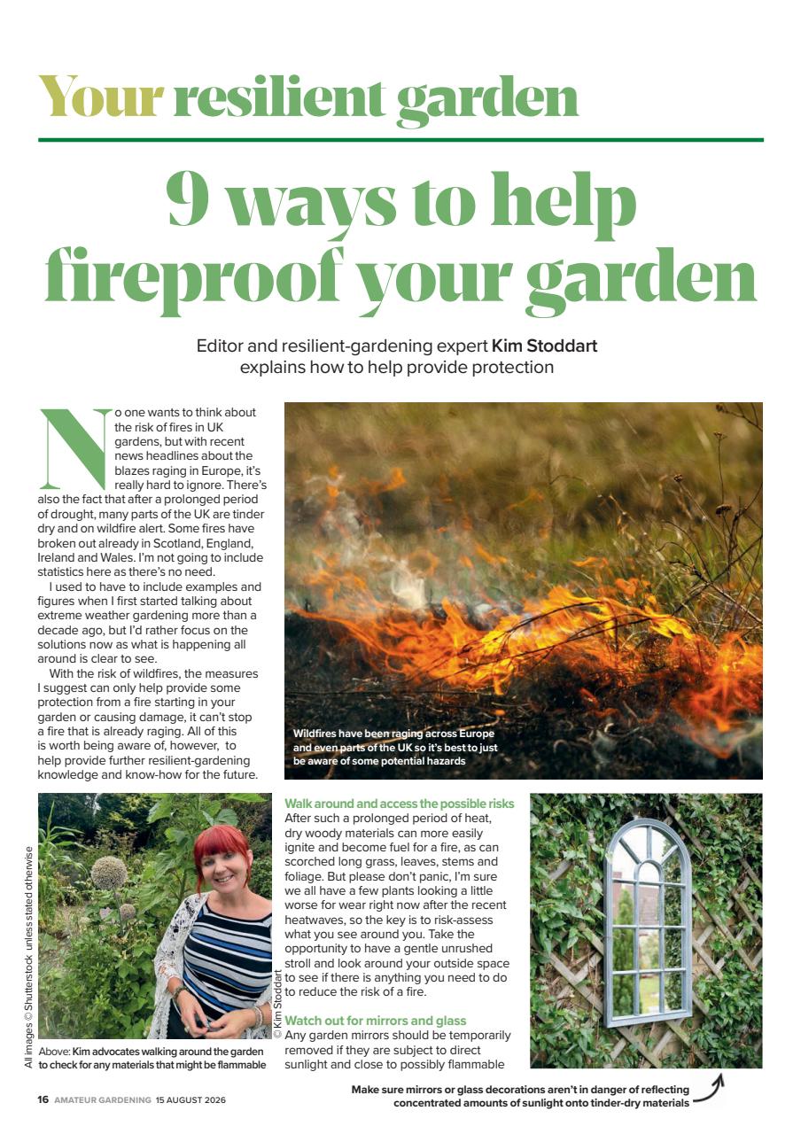 Amateur Gardening Preview Pages