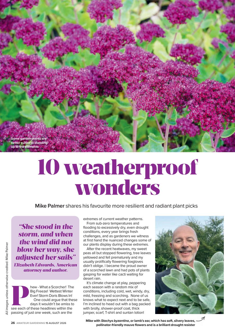 Amateur Gardening Preview Pages
