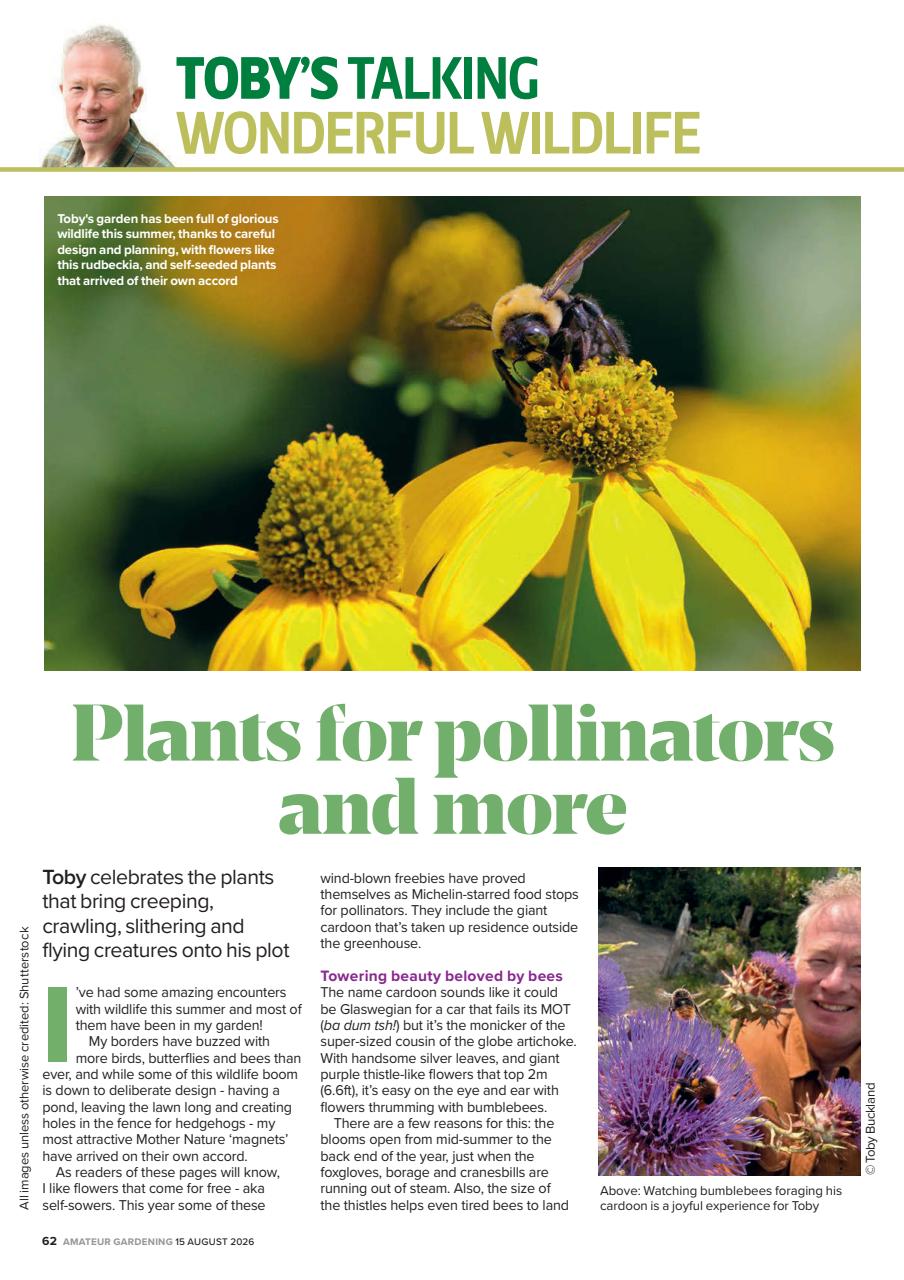 Amateur Gardening Preview Pages