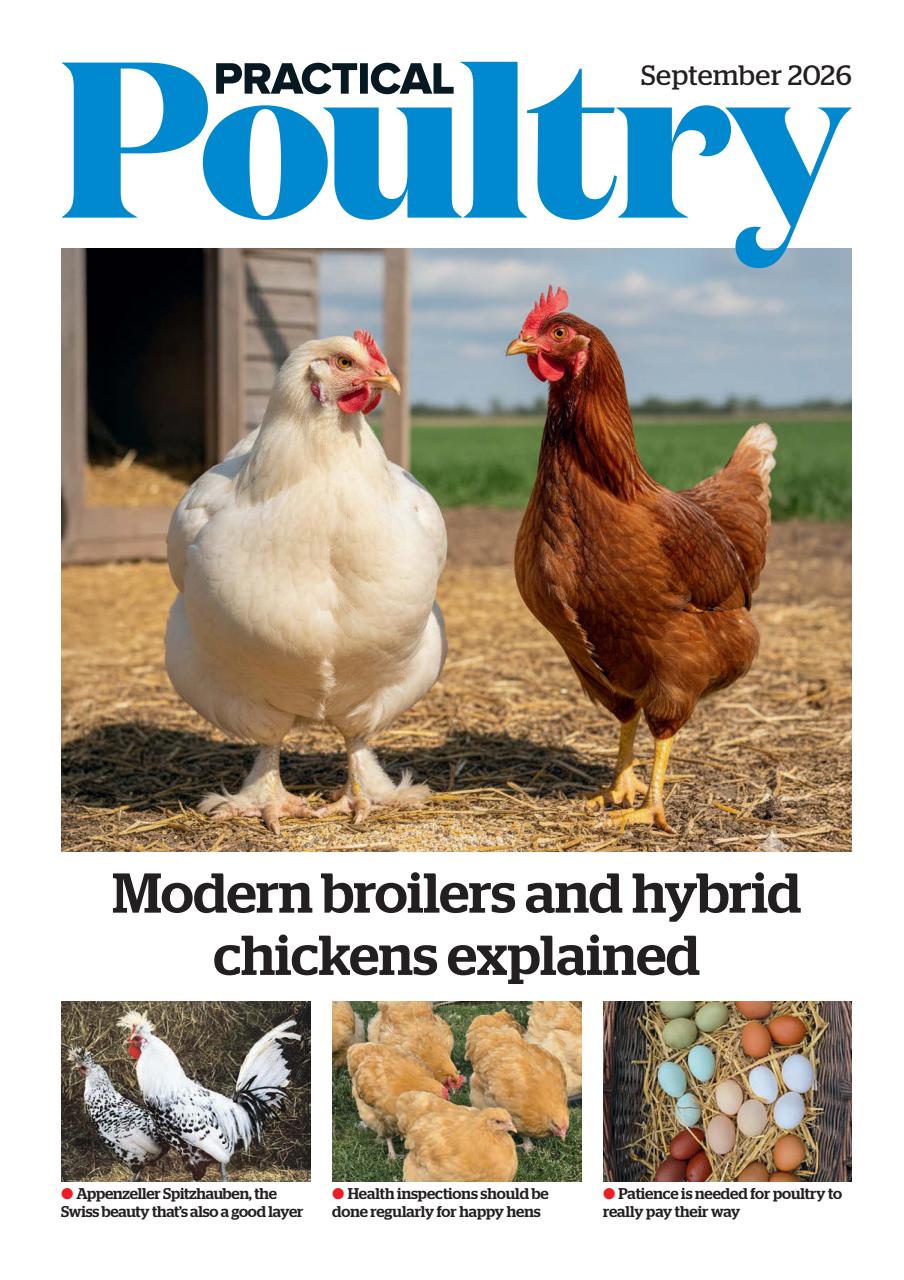 The Country Smallholder Preview Pages
