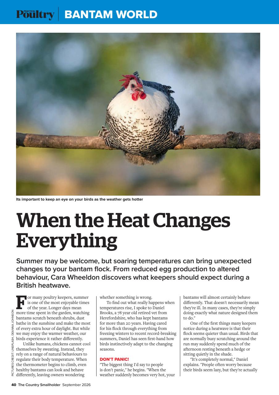 The Country Smallholder Preview Pages