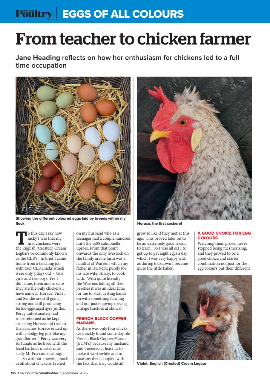 The Country Smallholder Preview Pages