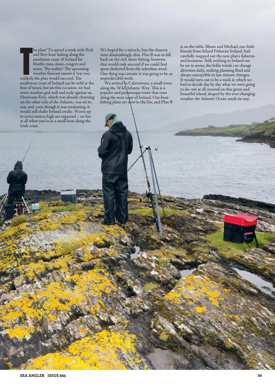 Sea Angler Preview Pages