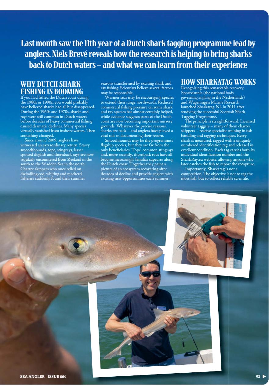 Sea Angler Preview Pages