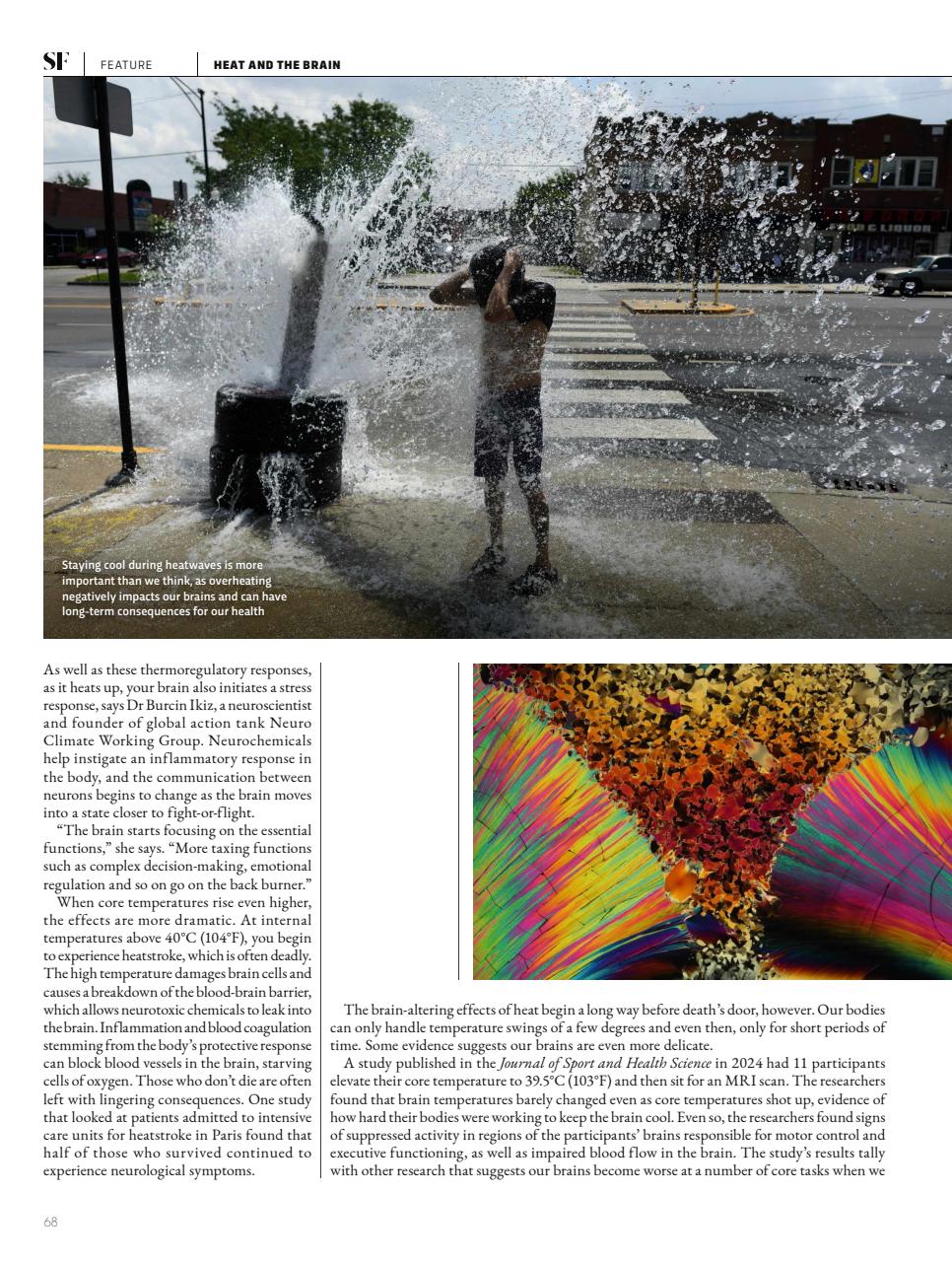 BBC Science Focus Magazine Preview Pages