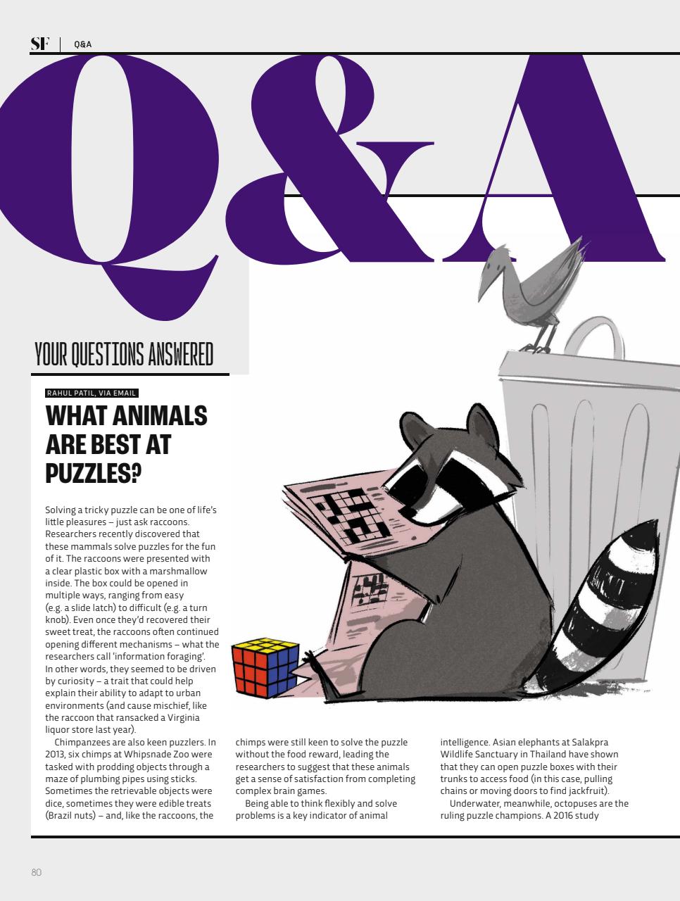 BBC Science Focus Magazine Preview Pages