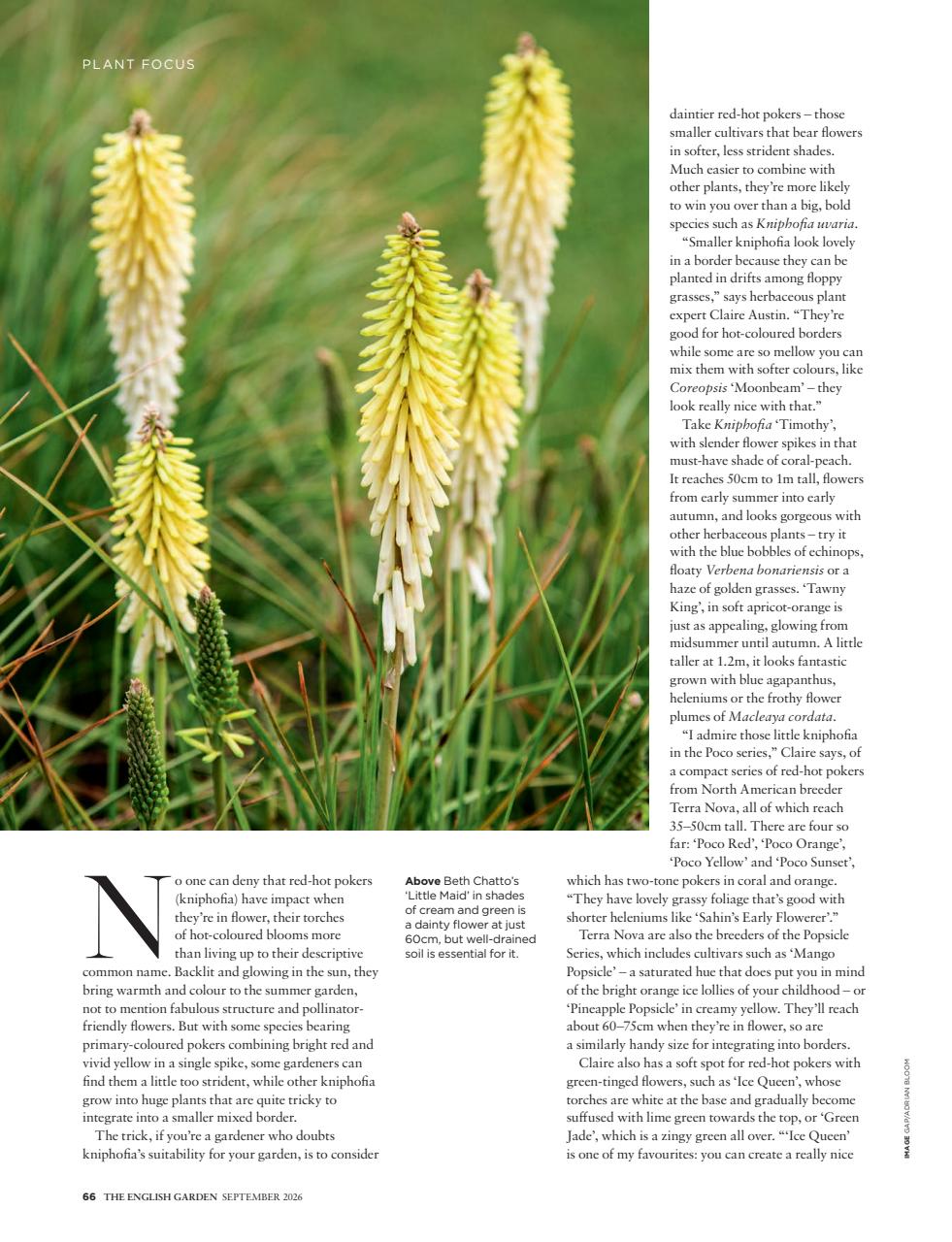 The English Garden Preview Pages